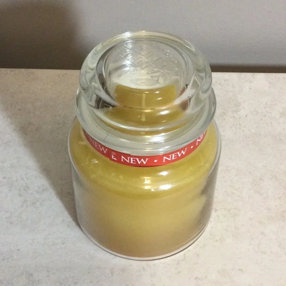 Yankee Candle nwt rare